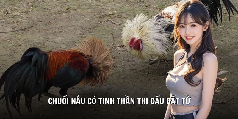 Chuối nâu có tinh thần thi đấu bất tử